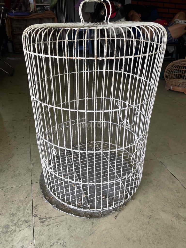 Lồng chim/gà Inox 304 Trắng. Mua bán Phụ kiện, Thức ăn, Dịch vụ tại Quận Bình Thạnh Tp Hồ Chí Minh được đăng bởi heri hình 1