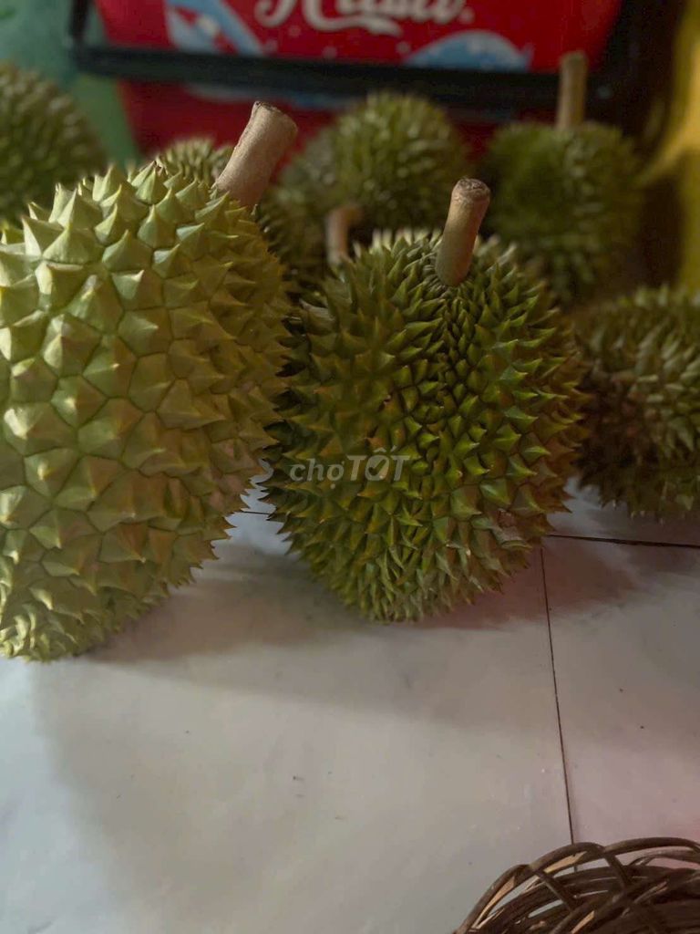 Sầu riêng. Mua bán Đồ ăn, thực phẩm và các loại khác tại Huyện Phong Điền Cần Thơ được đăng bởi tran hoai nho hình 1