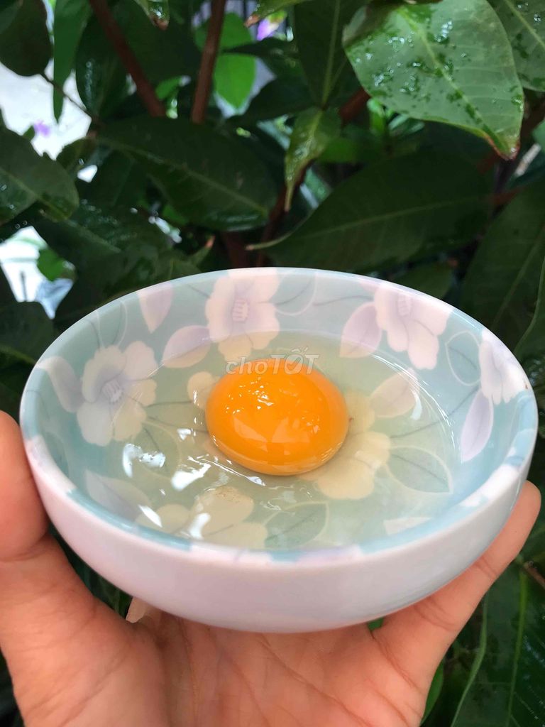 Trứng gà ta (gà ác) mới tươi ngon. Mua bán Đồ ăn, thực phẩm và các loại khác tại Quận Gò Vấp Tp Hồ Chí Minh được đăng bởi Chị Tư hình 1