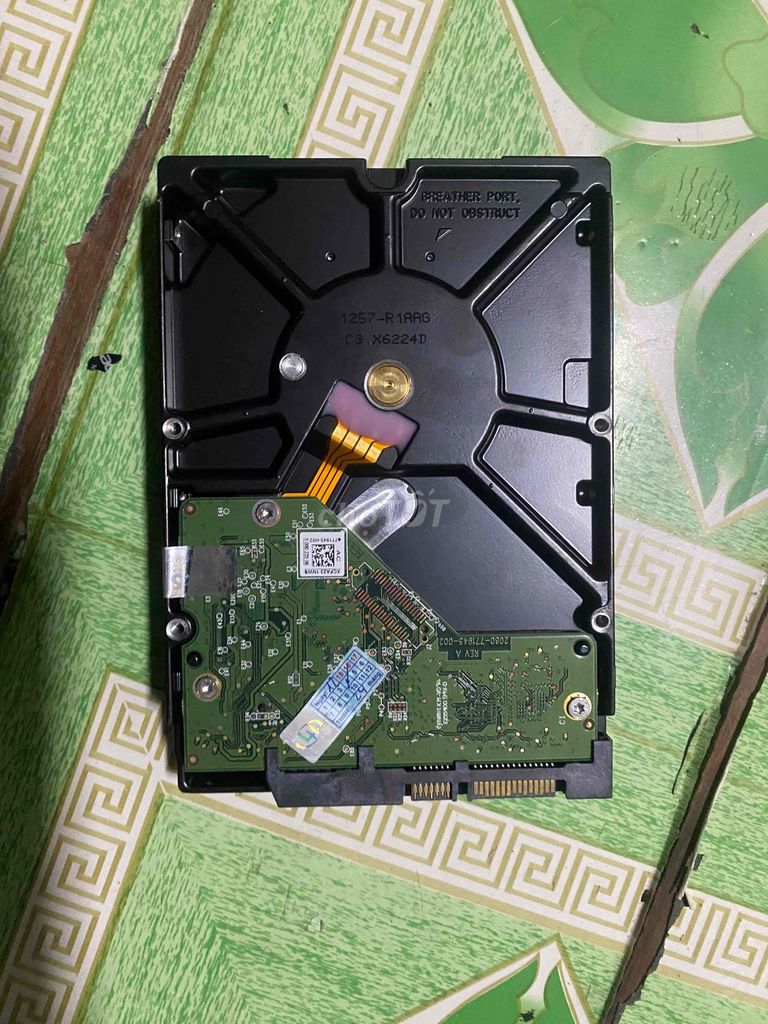 Ổ cứng HDD WD Blue 3TB. Mua bán Linh kiện (RAM, Card...) tại Thị xã Cai Lậy Tiền Giang được đăng bởi Thinh hình 1