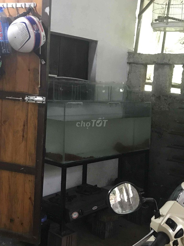 Bể cá cảnh Kính 1m2x40x50cm. Mua bán Phụ kiện, Thức ăn, Dịch vụ tại Thành phố Huế Thừa Thiên Huế được đăng bởi Tuann Kiett hình 1