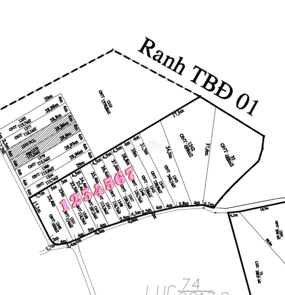 đất ấp Long Hòa, Cần Đước Long An, 1,2 tỷ/115m2