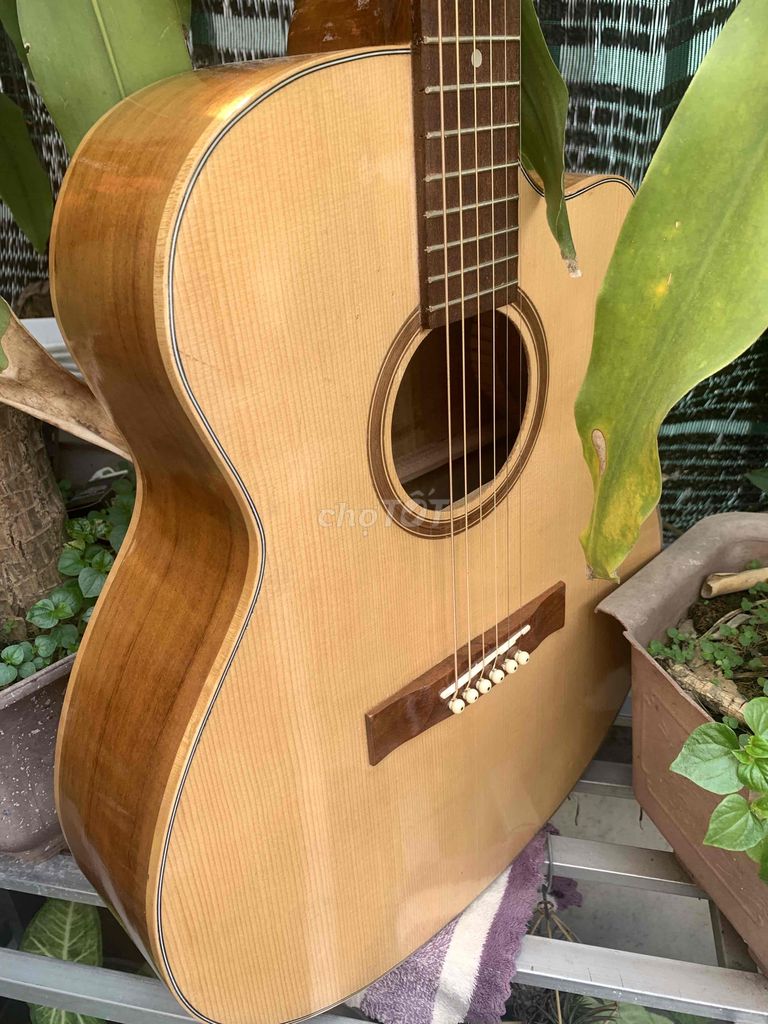 acoustic gỗ koa