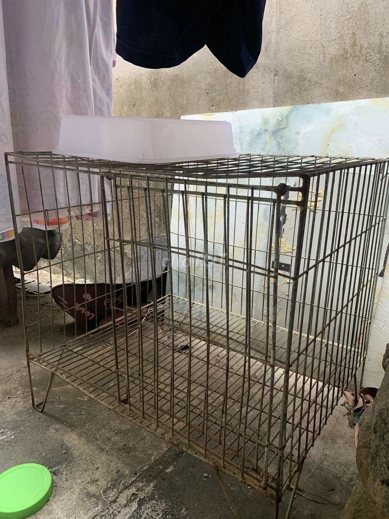 Bán chuồng chó + chuồng chim. Mua bán Phụ kiện, Thức ăn, Dịch vụ tại Thành phố Mỹ Tho Tiền Giang được đăng bởi hoang Duy hình 1