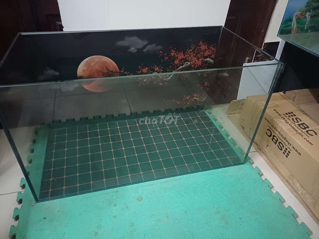 Bể kính tk 90x45 cao 50. Mua bán Phụ kiện, Thức ăn, Dịch vụ tại Quận Thanh Xuân Hà Nội được đăng bởi alo tớ nè hình 1