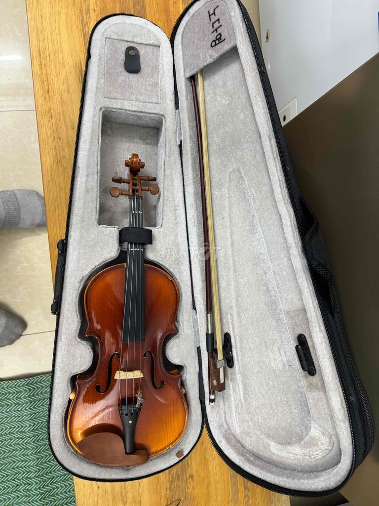 đàn violin