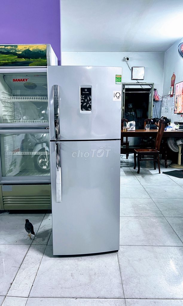 Tủ ELECTROLUX 230 Lít. Lạnh nhanh. Ngăn Đá rộng.