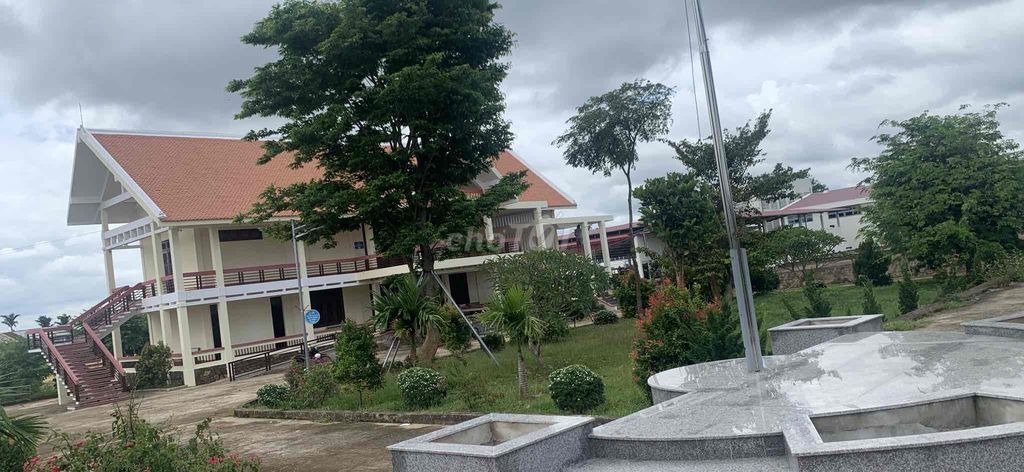 Ảnh số 7