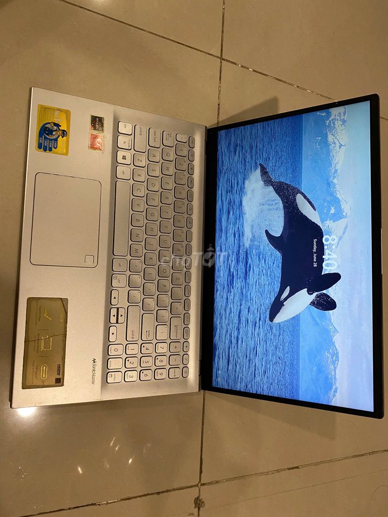 Asus VivoBook 15 Ryzen 5 8GB/15.6 inch 512GB SSD. Mua bán Laptop tại Quận Tân Bình Tp Hồ Chí Minh được đăng bởi Nguyễn Dũng hình 1