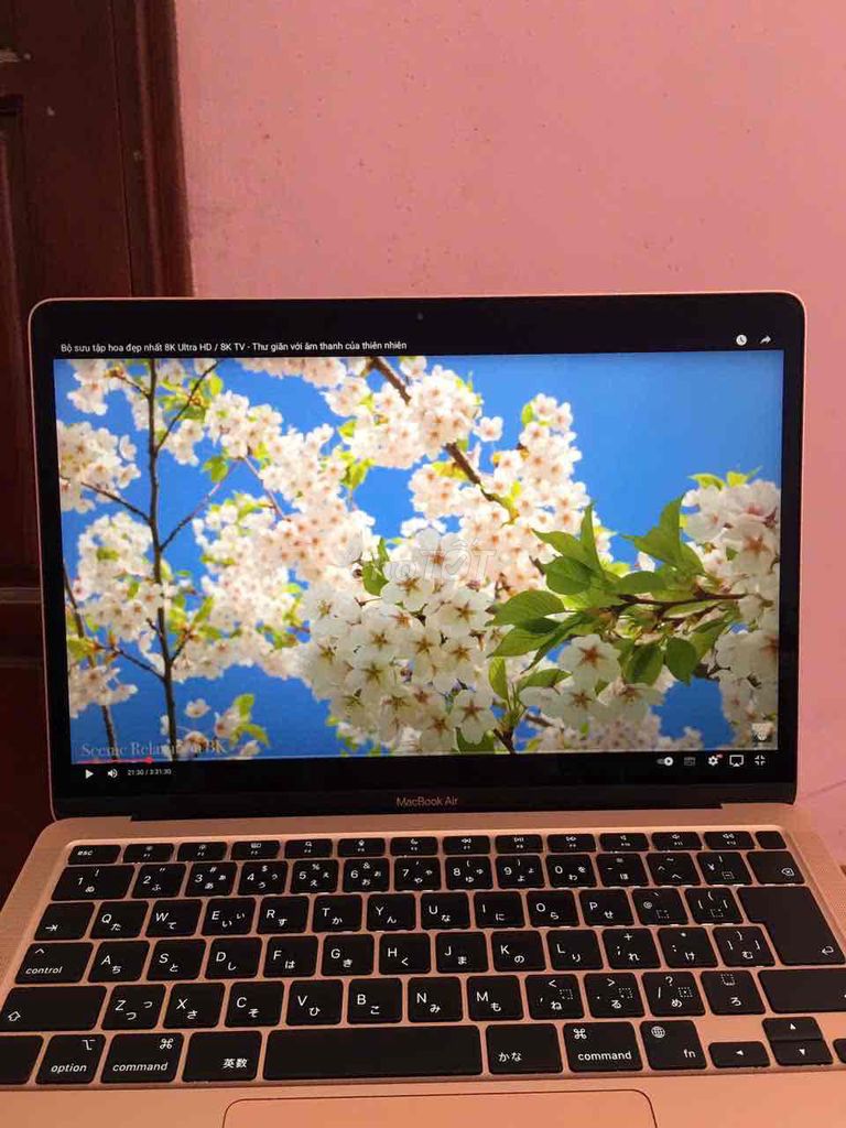 MacBook air M1 / Ram 16/ ssd 512/ 13.3 2k. Mua bán Laptop tại Thành phố Bắc Ninh Bắc Ninh được đăng bởi Máy Tính Thu Trà  hình 5