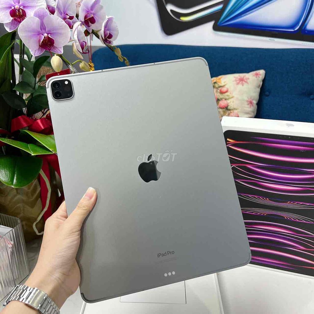 IPad Pro 12.9 M2 5G 128Gb FullBox 99%