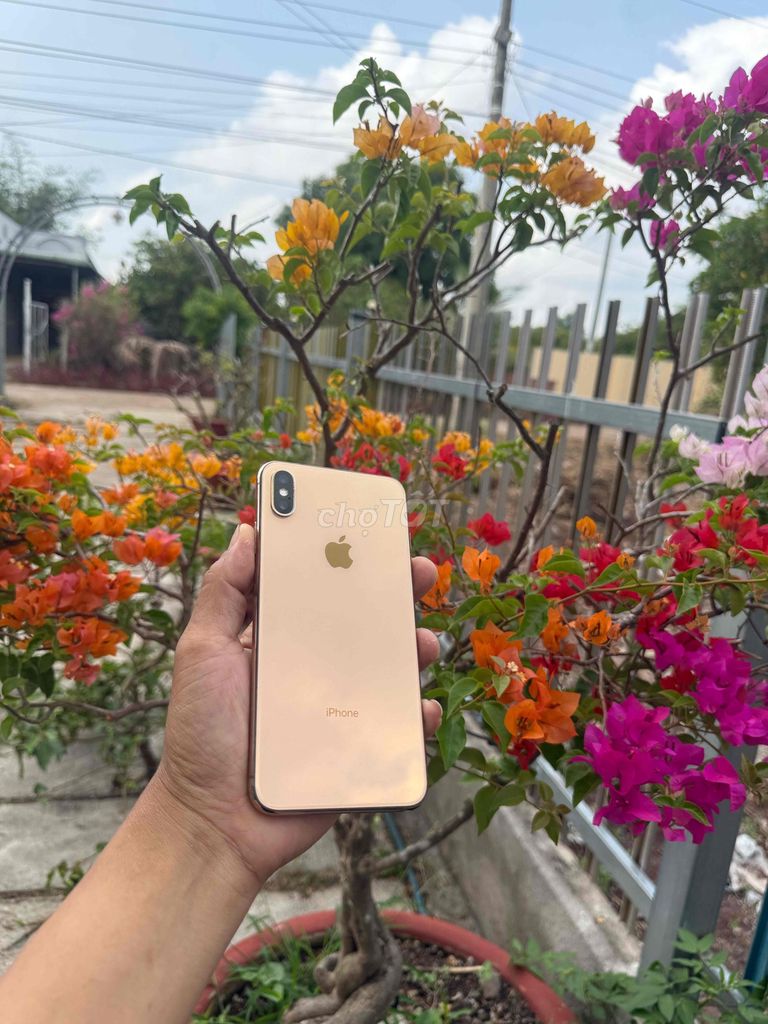 Apple iPhone XS Max Vàng Đã dùng. Mua bán Điện thoại tại Huyện Cẩm Mỹ Đồng Nai được đăng bởi than hình 1
