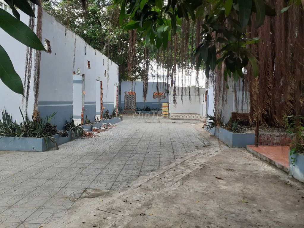 MẶT BẰNG KINH DOANH NHÀ CHÍNH CHỦ 500M2 237/1A, PHƯỜNG AN HỘI, BẾN TRE. Cho thuê văn phòng, mặt bằng kinh doanh tại Thành phố Bến Tre Bến Tre được đăng bởi Huỳnh Nguyên hình 1