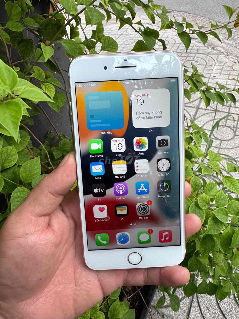 iPhone 7 Plus qt 32GB Vàng hồng gl. Mua bán Điện thoại tại Quận Tân Phú Tp Hồ Chí Minh được đăng bởi nguyen son  hình 1