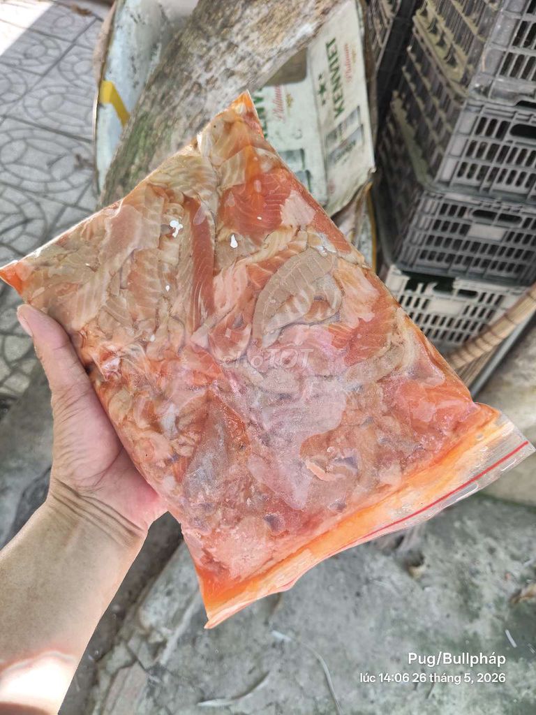 Thức ăn cho thú cưng. Mua bán Phụ kiện, Thức ăn, Dịch vụ tại Huyện Vũng Liêm Vĩnh Long được đăng bởi Ng Ngọc Hân hình 1