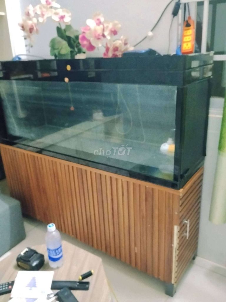 Hồ cá 1m5 x 60cm x 40cm kính 10ly kèm phụ kiện. Mua bán Phụ kiện, Thức ăn, Dịch vụ tại Huyện Châu Đức Bà Rịa - Vũng Tàu được đăng bởi ĐÁ HOA CƯƠNG hình 1