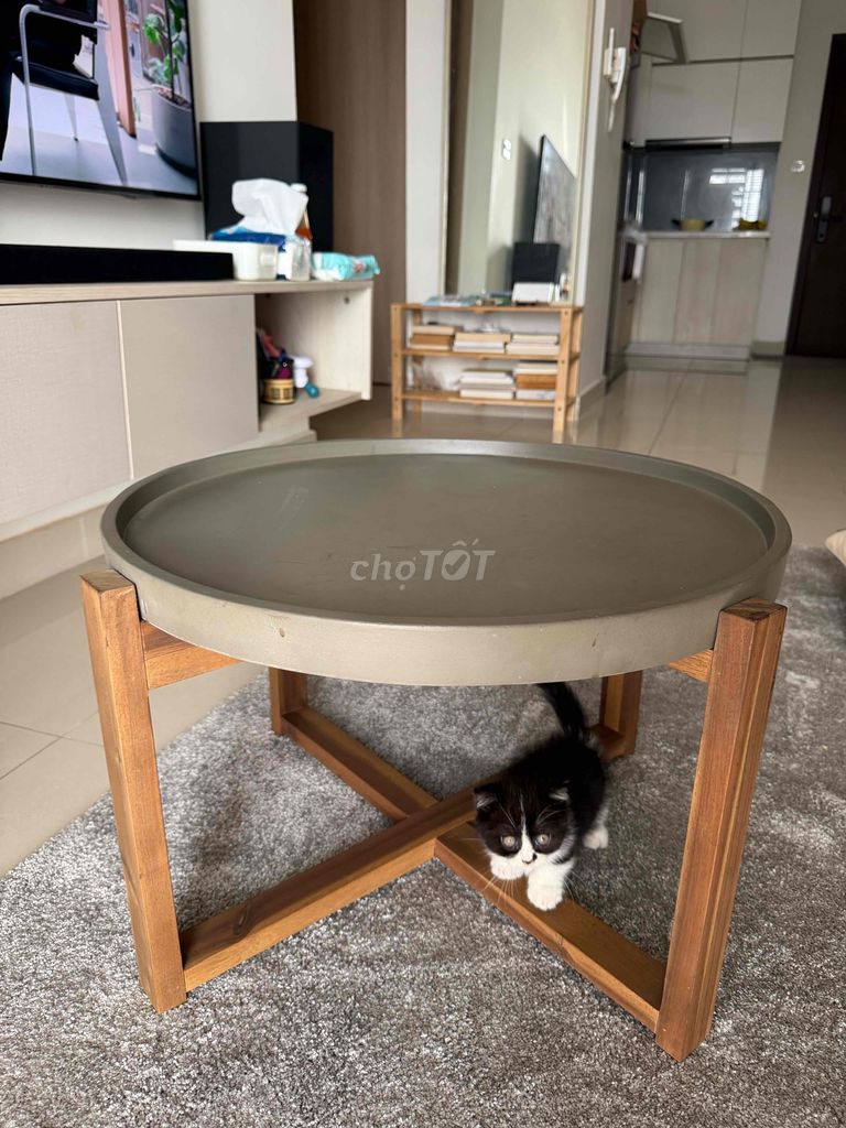 Bàn phòng khách mặt đá 60x40