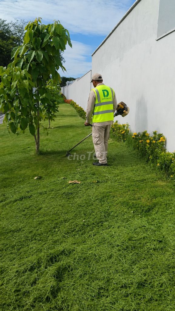 Dịch vụ cắt cỏ cắt tỉa cây xanh Đồng Nai. Dịch vụ tại Huyện Long Thành Đồng Nai được đăng bởi CẢNH QUAN ĐẠI PHÁT  hình 1
