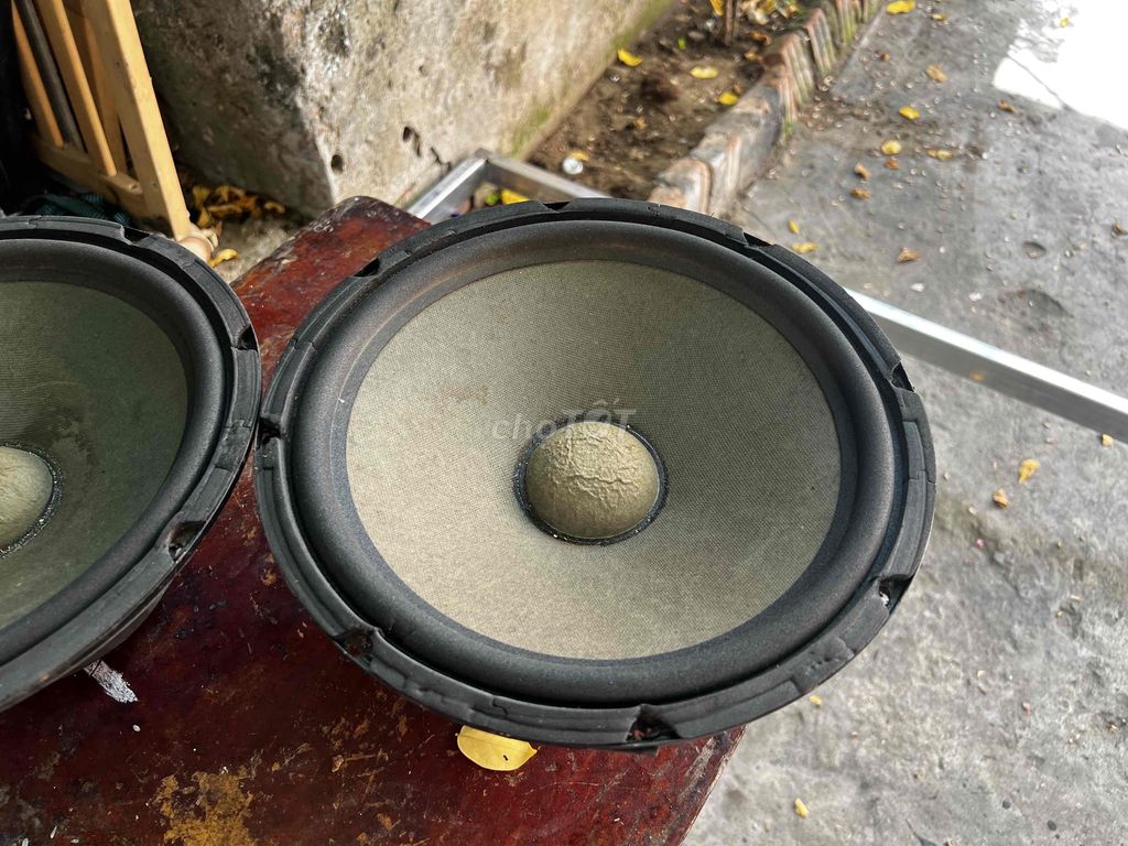 Loa bass 25cm. Mua bán Tivi, Âm thanh tại Quận Sơn Trà Đà Nẵng được đăng bởi bizzuu online hình 1