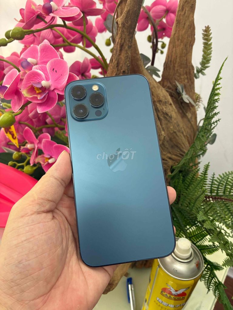Apple iPhone 12 Pro Max 128GB Xanh Mỹ. Mua bán Điện thoại tại Thành phố Buôn Ma Thuột Đắk Lắk được đăng bởi Tèo Điện Thoại  hình 1