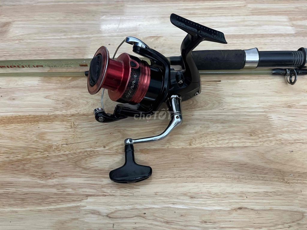 Máy câu cá Shimano Siena 4000 và cần câu giá rẽ