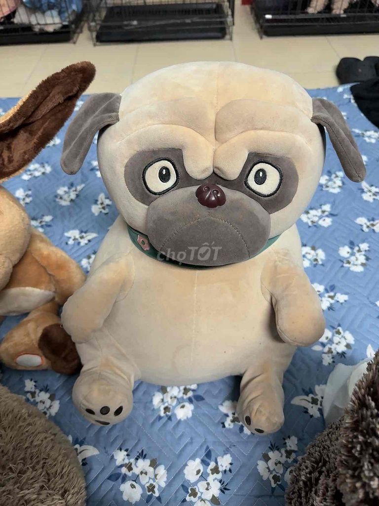 Gấu nhồi bông nhiều màu khá mới 55k/2con. Mua bán Sở thích khác tại Quận Cầu Giấy Hà Nội được đăng bởi Nguyễn mạnh hùng hình 1