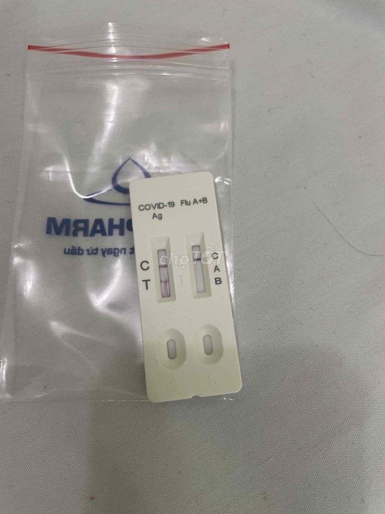 Ảnh số 7