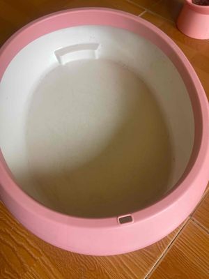 Thay cát vệ sinh cho thú nuôi dưới 3kg