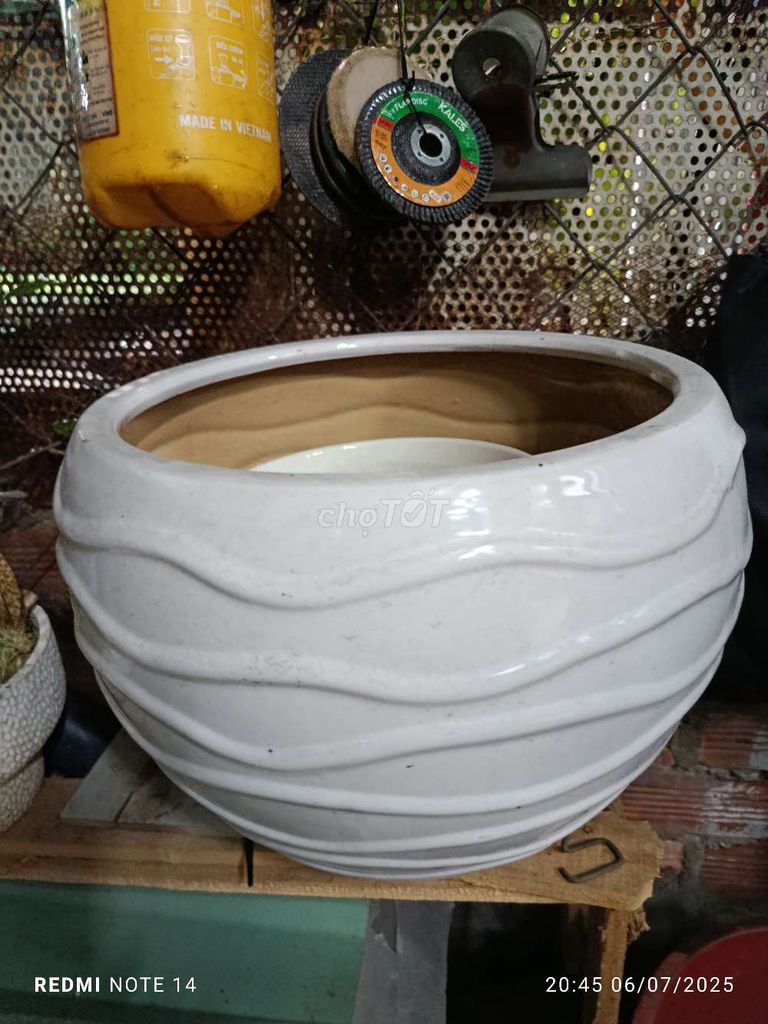 Thanh lý 2 cái chậu mới. Mua bán Nội thất, đồ gia dụng khác tại Quận Bình Thạnh Tp Hồ Chí Minh được đăng bởi thanh sang hình 1