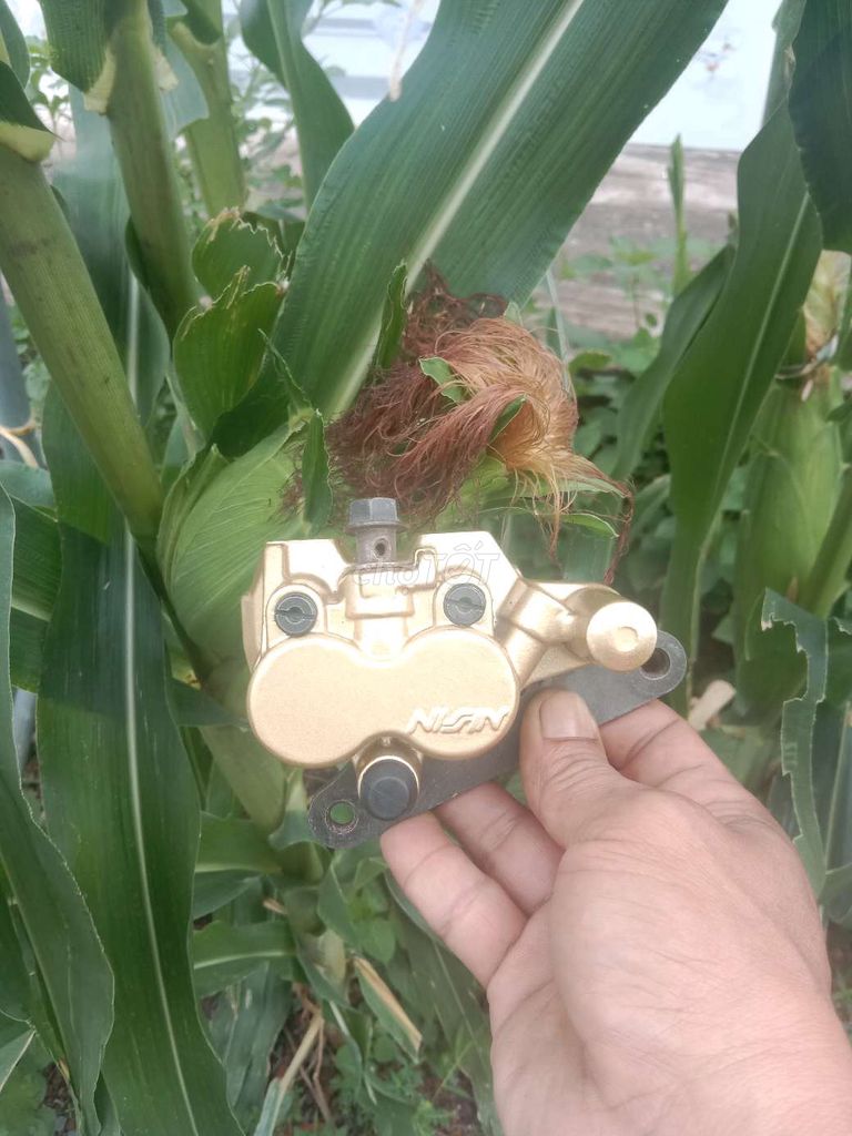 Wave zx. Mua bán Phụ tùng xe tại Thành phố Biên Hòa Đồng Nai được đăng bởi hòa thắng hình 2