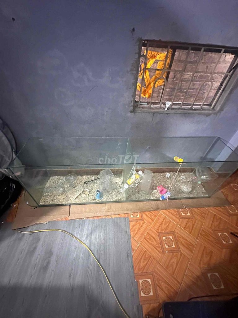 Bể cá cảnh kính trong suốt 2m. Mua bán Phụ kiện, Thức ăn, Dịch vụ tại Huyện Bình Lục Hà Nam được đăng bởi Kim Anh hình 1