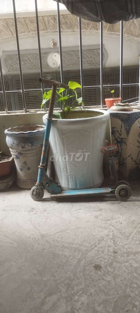 Xe trượt scooter cho bé từ 3 đến 10 tuổi