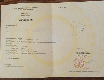 Chính chủ bán gần 6 mẫu đất trồng cây cao su 14 năm, đang thu hoạch
