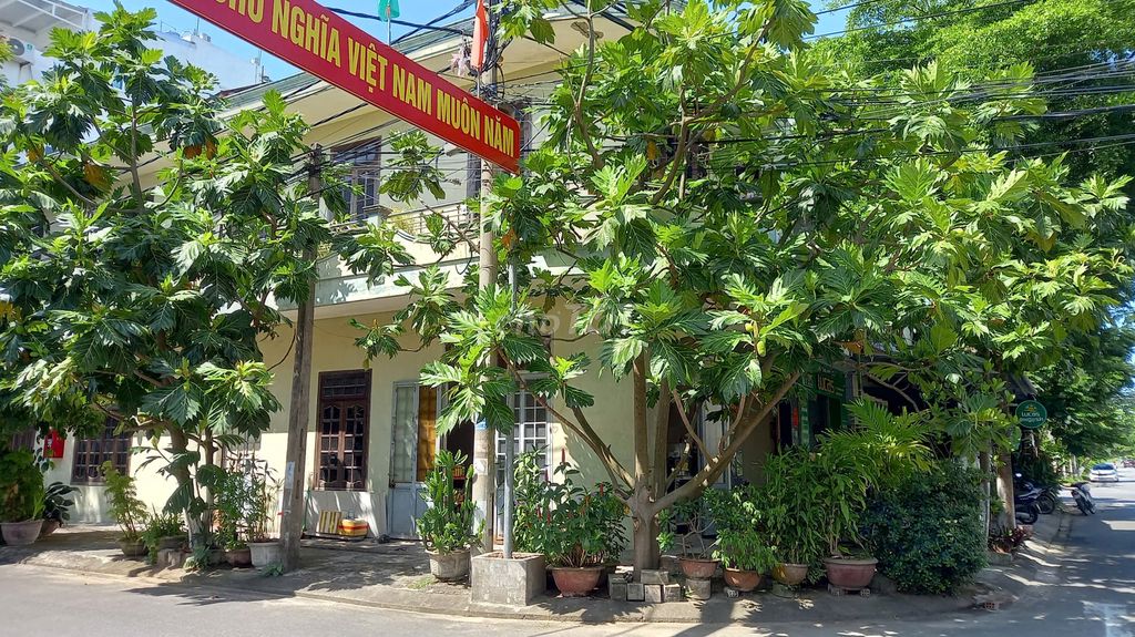 SỬA NHÀ TIẾT KIỆM – TẬN DỤNG VẬT KẾT CẤU ỔN ĐỊNH.. Dịch vụ tại Quận Liên Chiểu Đà Nẵng được đăng bởi Ngô Đăng hình 2
