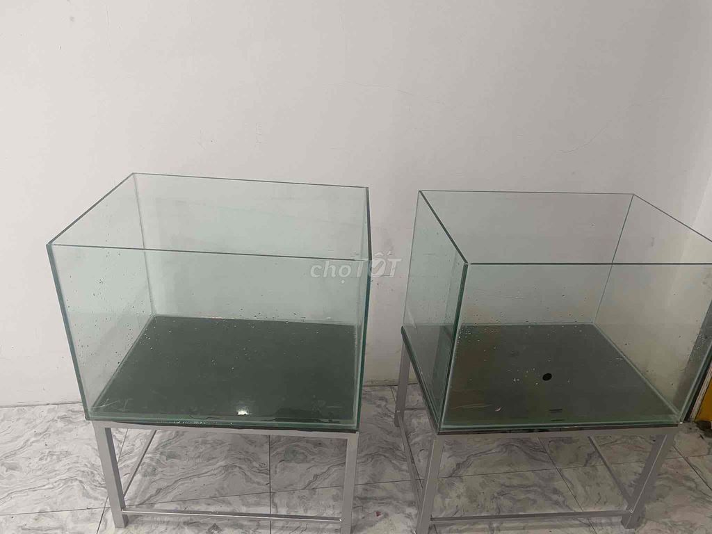 Bể cá Kính trong suốt. Mua bán Phụ kiện, Thức ăn, Dịch vụ tại Thành phố Cà Mau Cà Mau được đăng bởi Trân hình 1