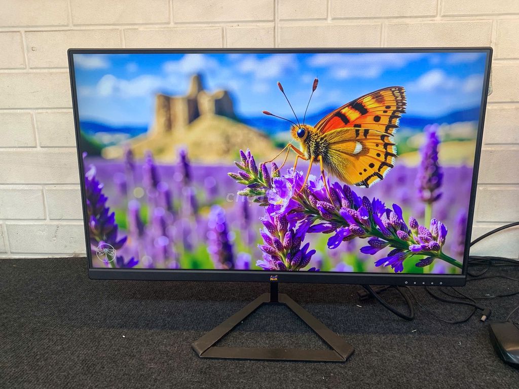 Màn hình ViewSonic 24 inch 240Hz màn đẹp. Mua bán Phụ kiện (Màn hình, Chuột...) tại Quận Phú Nhuận Tp Hồ Chí Minh được đăng bởi tiến tài 770 nguyễn kiệm p4 quận phú nhuận hình 1