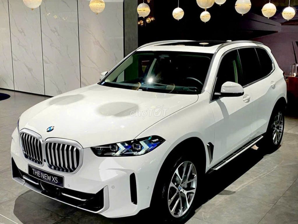 • BMW X5 M Sport