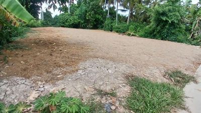 Bán đất nền. Mua bán đất tại Huyện Vĩnh Lợi Bạc Liêu được đăng bởi Nhân Siêu