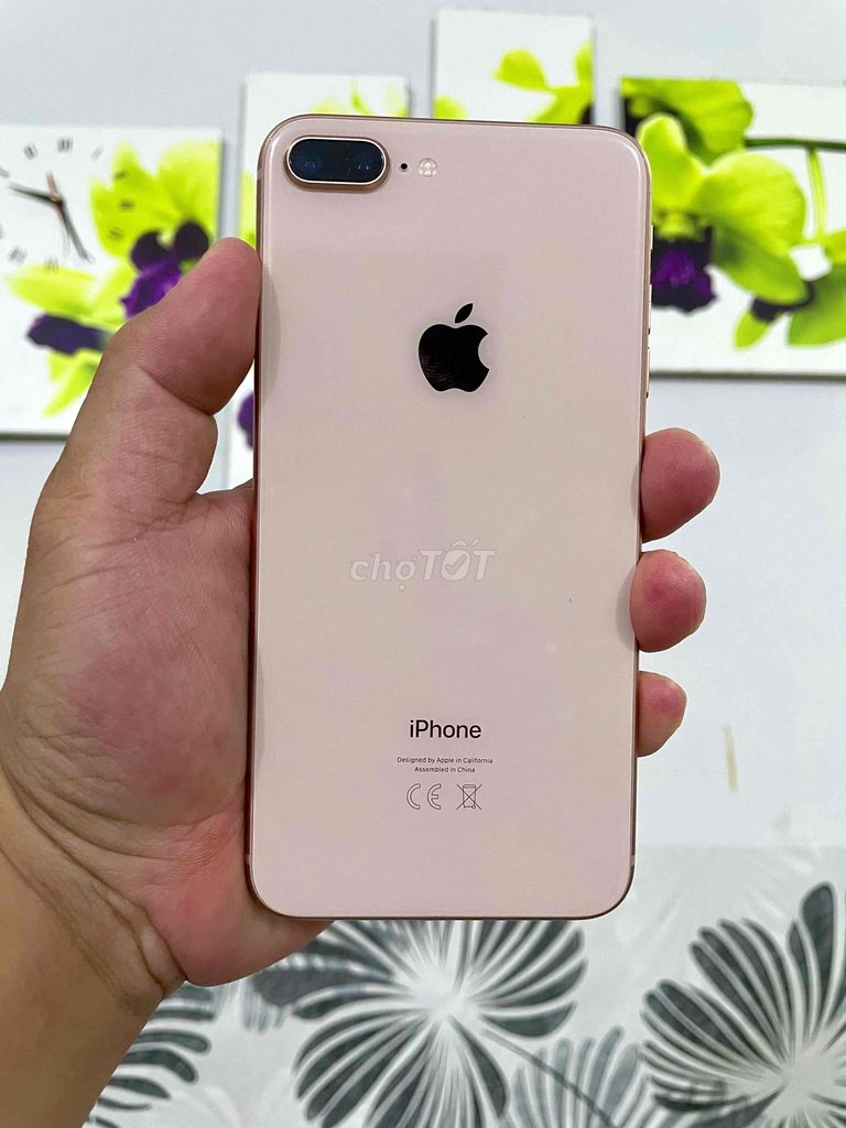 Apple iPhone 8 Plus quốc tế 64GB Hồng zin Full. Mua bán Điện thoại tại Thành phố Thủ Dầu Một Bình Dương được đăng bởi Đăng Store hình 1