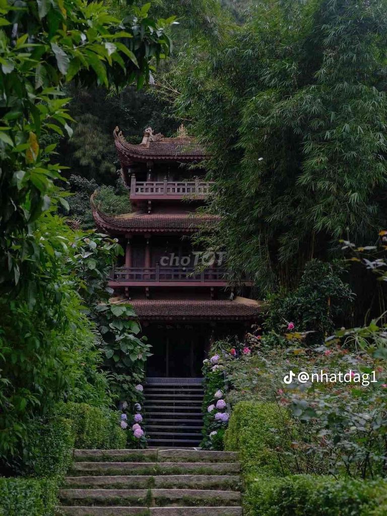 Khóa học Tử vi, Nhân tướng, Phong thủy. Dịch vụ tại Huyện Gia Lâm Hà Nội được đăng bởi Nguyễn Thu Tuyết hình 1