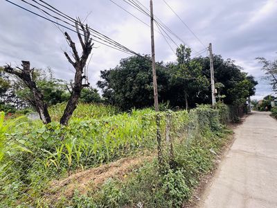 Đất khu du lịch Hà Gia. Mua bán đất tại Thị xã Điện Bàn Quảng Nam được đăng bởi Đoàn nguyễn minh Kha