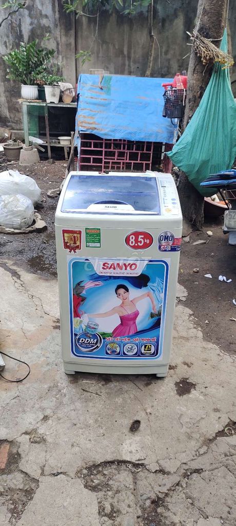 Cần thanh lý máy giặt Sanyo 8,5 kg xài rất OK