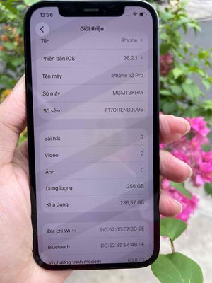 iPhone 12 Pro 256GB Xanh máy zin ốc