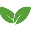leaf icon