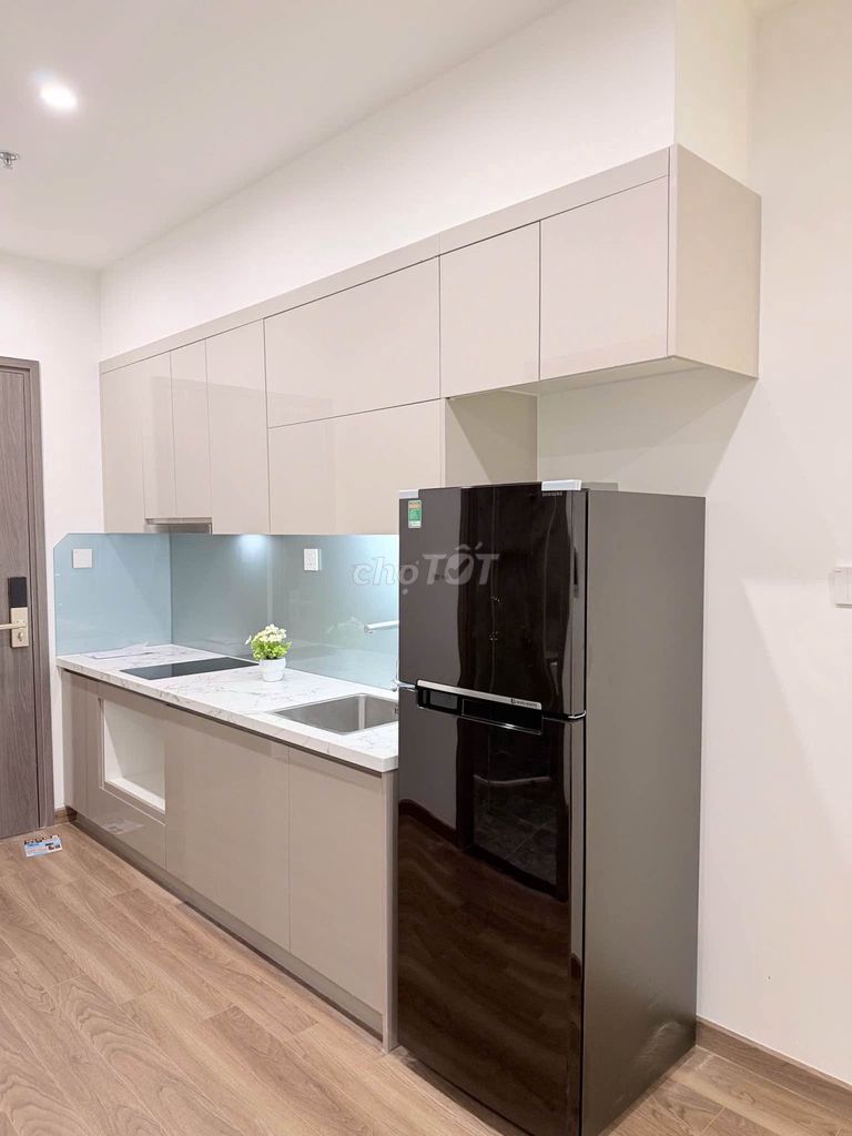 Студия с полной мебелью, корпус Be3, VinHomes Ocean Park