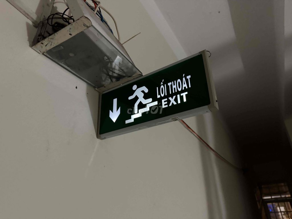 Đèn Exit thoát hiểm (xuống cầu thang)