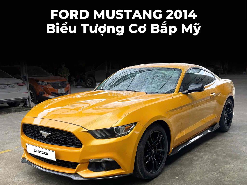 Ford Mustang Cũ 2.3L AT 2014 - 80000 km ốp Carbon. Mua bán Ô tô tại Quận Gò Vấp Tp Hồ Chí Minh được đăng bởi Ô Tô Cũ hình 1