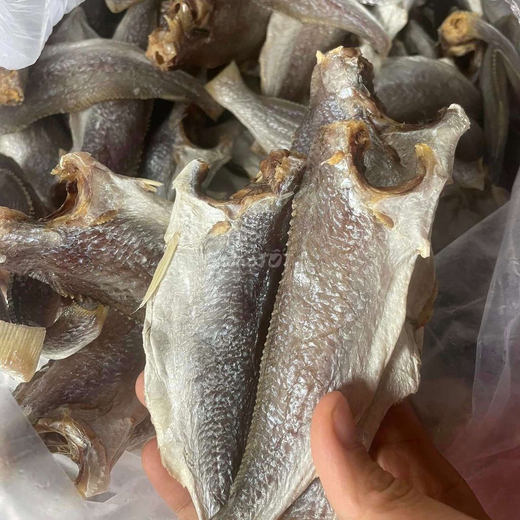 KHÔ CÁ ĐÙ ƯỚP MẶN 500G 10TỚI15 CON