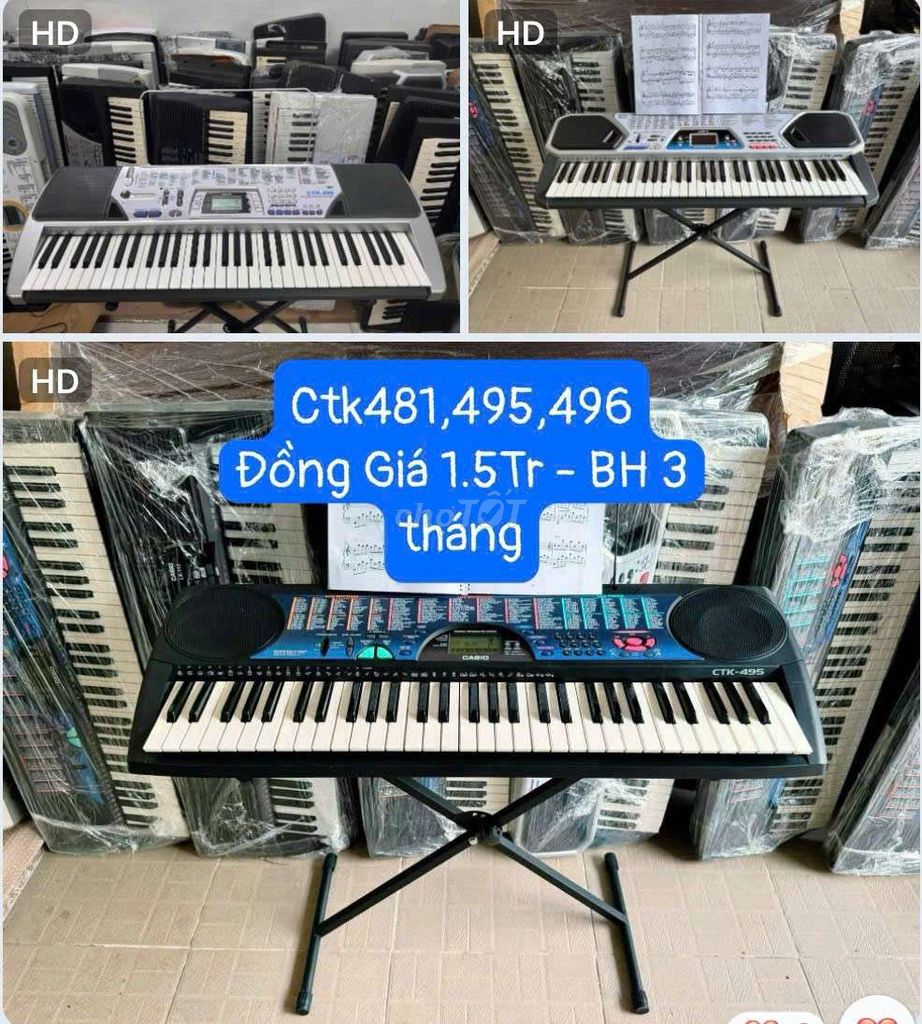 Đàn casio LTK 481, 495, 496