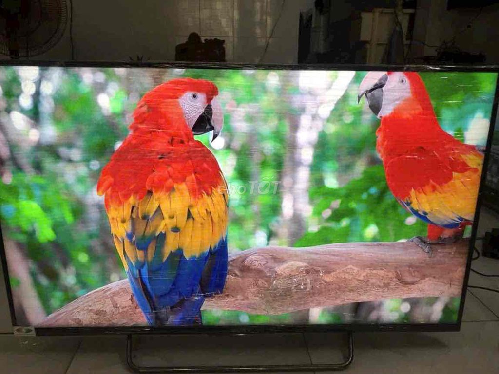 Tivi Sony 40 inch. Mua bán Tivi, Âm thanh tại Quận 12 Tp Hồ Chí Minh được đăng bởi Vĩnh phat hình 1